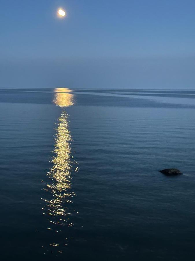 The Wind In The Willows - Luxury Lakefront Oasis Bed and Breakfast Cobourg Buitenkant foto